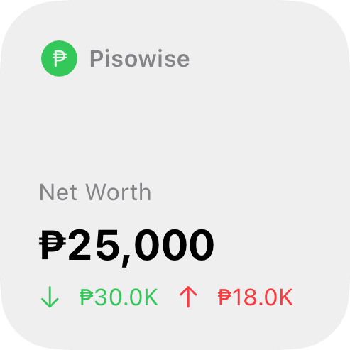 Pisowise small widget showing balance summary.